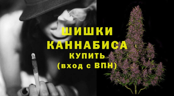 ГАЛЛЮЦИНОГЕННЫЕ ГРИБЫ Белоозёрский