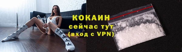 ГАЛЛЮЦИНОГЕННЫЕ ГРИБЫ Белоозёрский