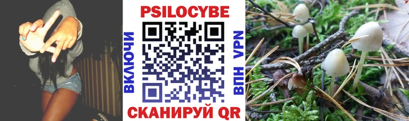 Псилоцибиновые грибы Psilocybine cubensis  купить наркотик  Черемхово 